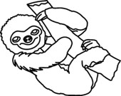 Sloth Clip Art