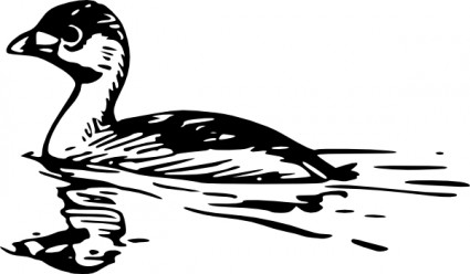 Swimming Duck clip art Vector clip art - Free vector for free download