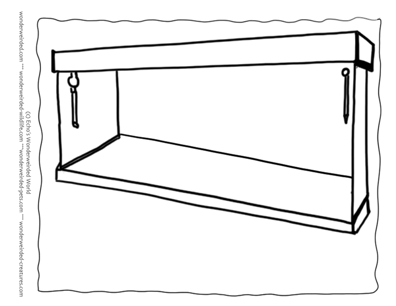 Blank Aquarium Coloring Pages Free, Outline Drawing of Aquarium ...