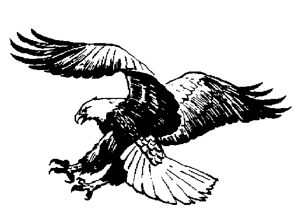 Eagles Authentic Tattoos
