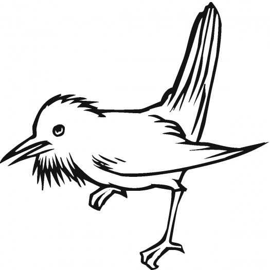 Birds coloring pages | Super Coloring - Part 36