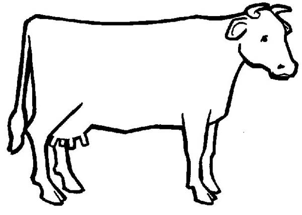 Cow Outline Coloring Page: Cow Outline Coloring Page – Kids Play Color