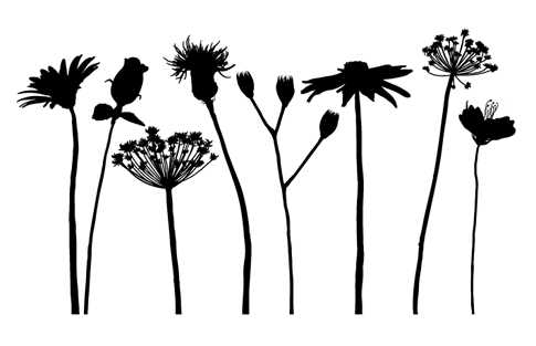 Flower Silhouettes