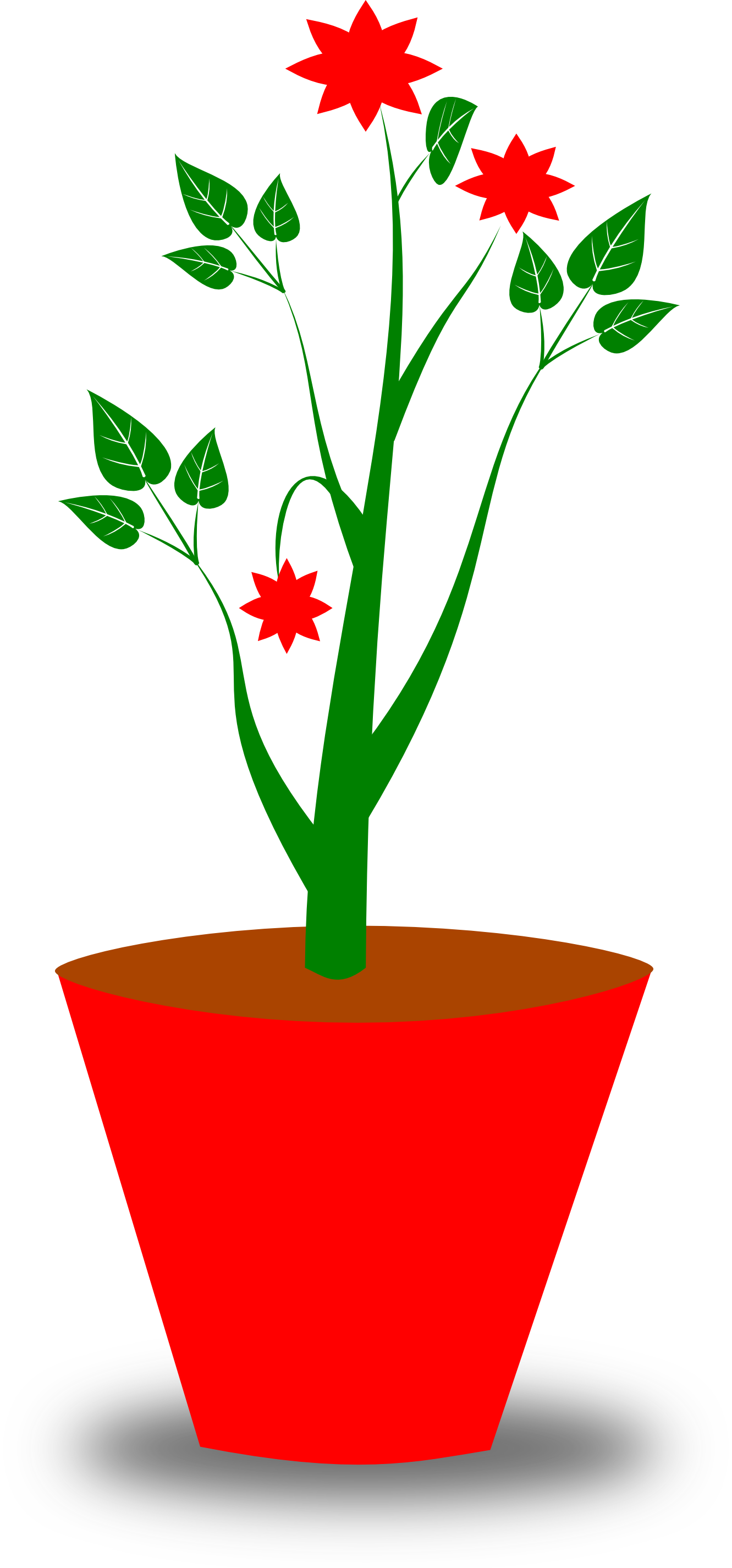 Plant in a pot clipart