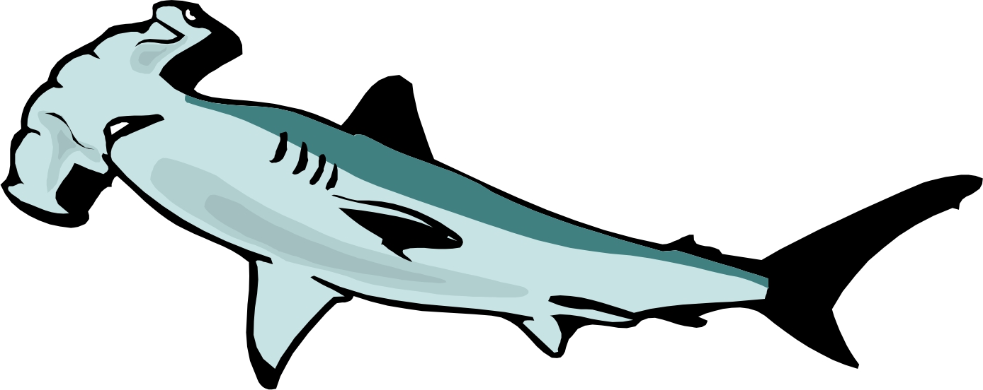 Hammer shark clipart clipart - Cliparting.com