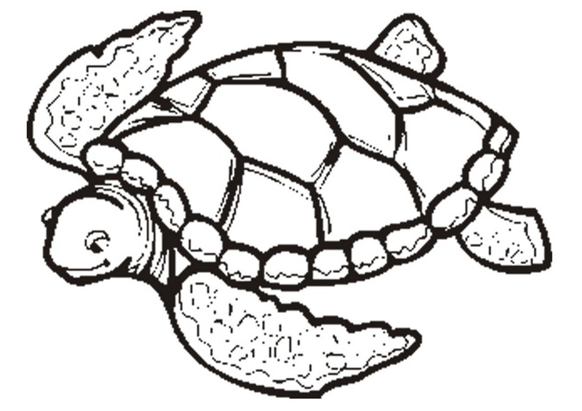 Turtle Outline | Free Download Clip Art | Free Clip Art | on ...