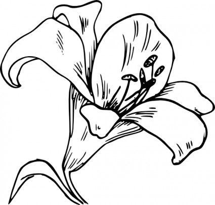 Lily Flower Bouquet Clipart