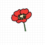 How to draw a Poppy Flower