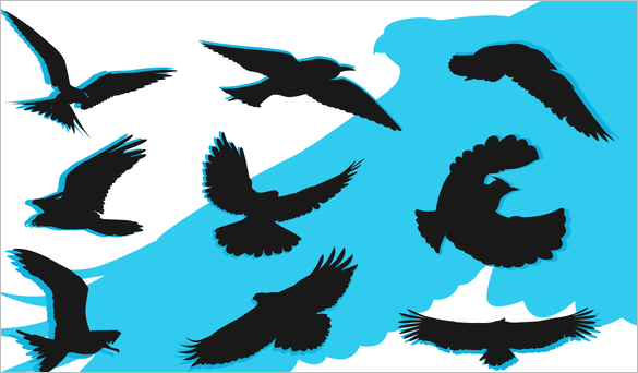 244+ Bird Vectors – EPS, PNG, JPG, SVG Format Download! | Free ...