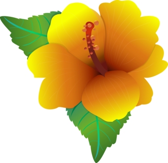 Yellow Hibiscus Flower Clipart