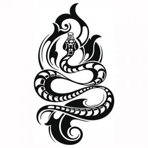 Snake Tattoo Pictures