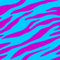 Zebra Stripe GIFs - Find & Share on GIPHY