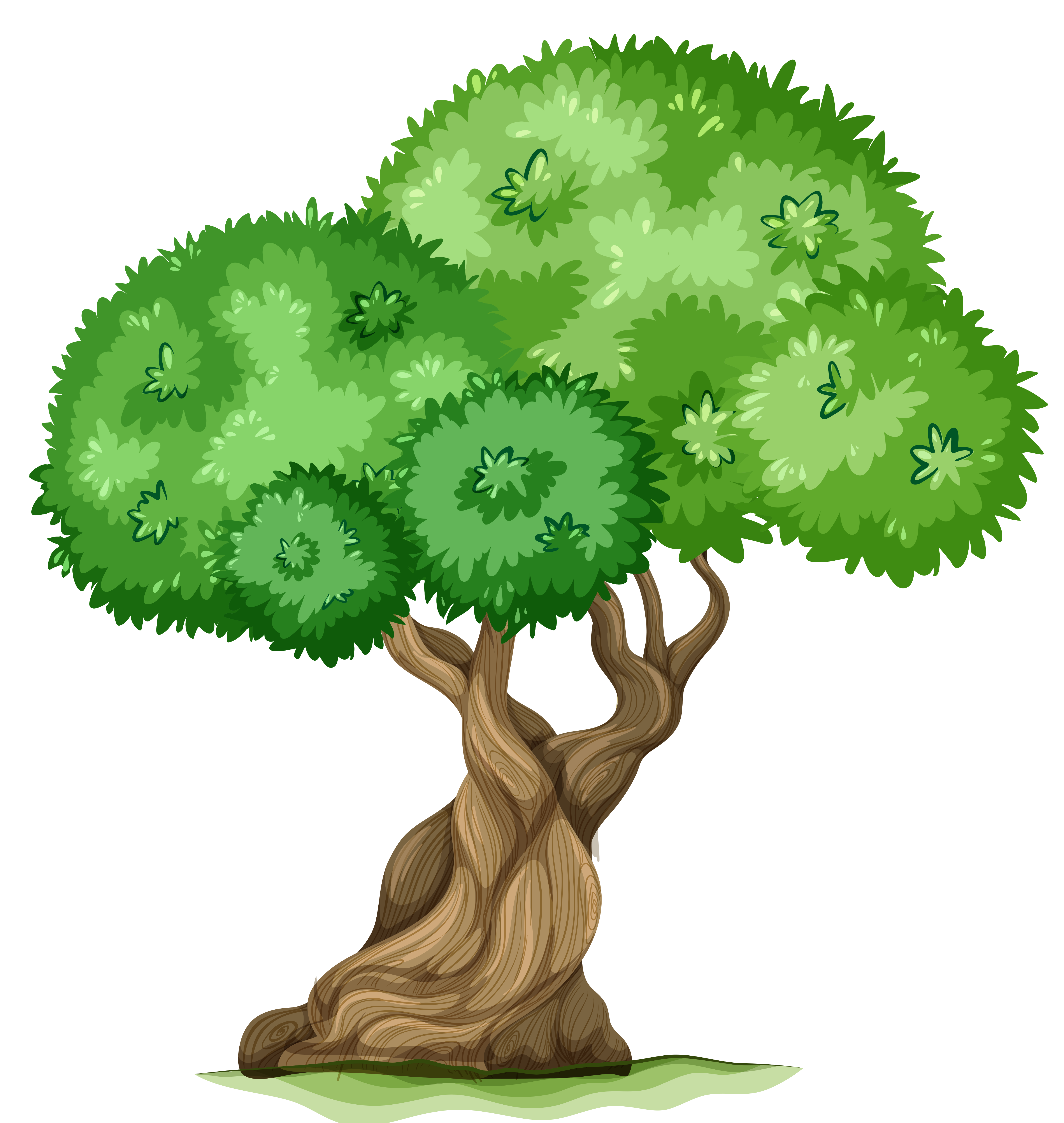 Tree clipart tree clip art clipart cliparts for you - Cliparting.com