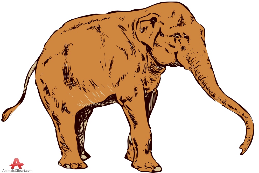 Drawing Clipart of Elephant Animal | Free Clipart Design Download