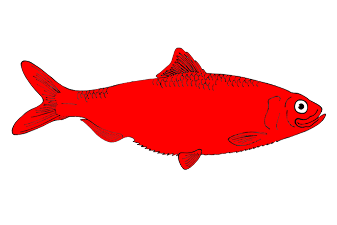 red fish clipart – Clipart Free Download