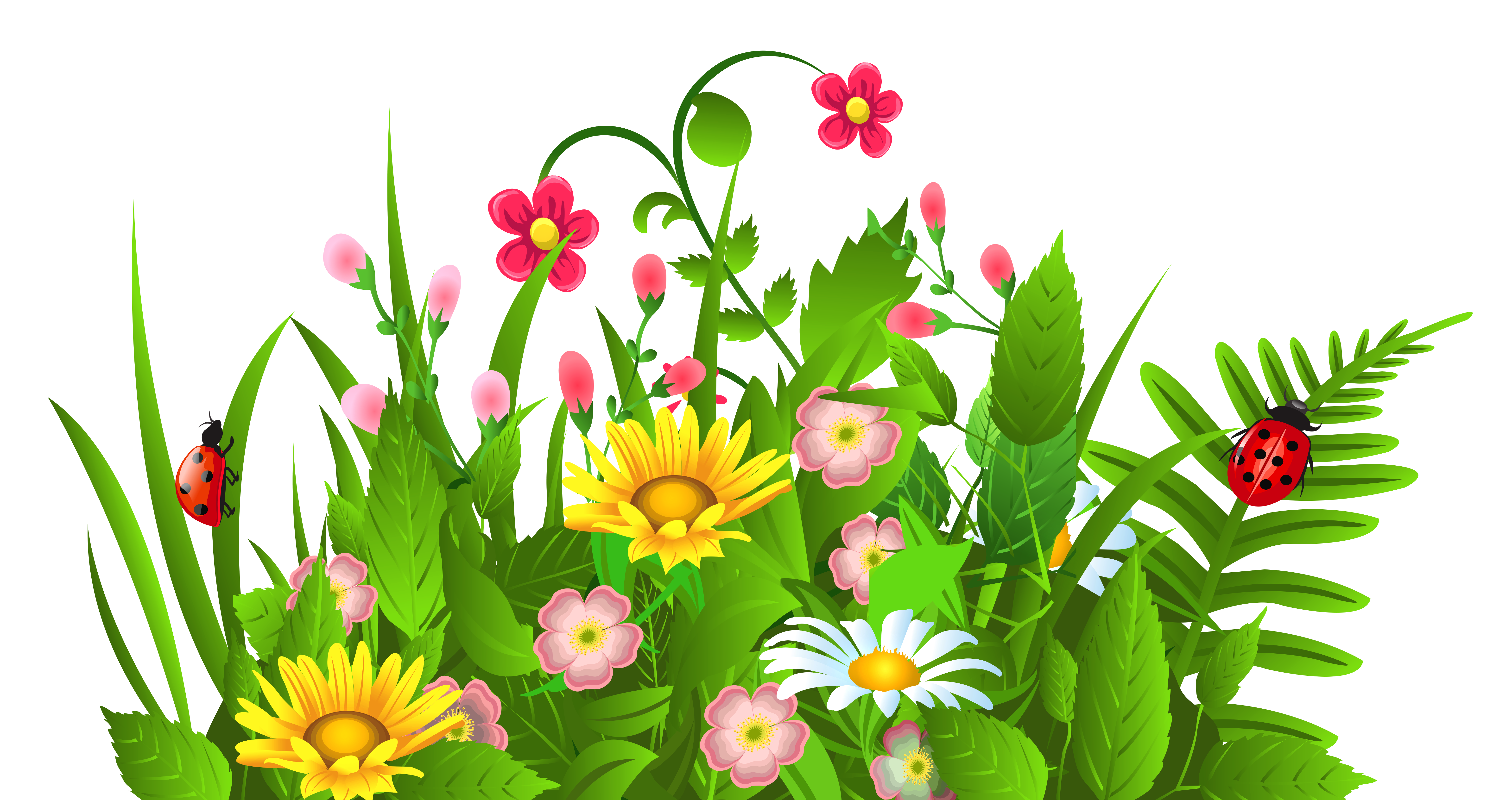 Flower clipart free png