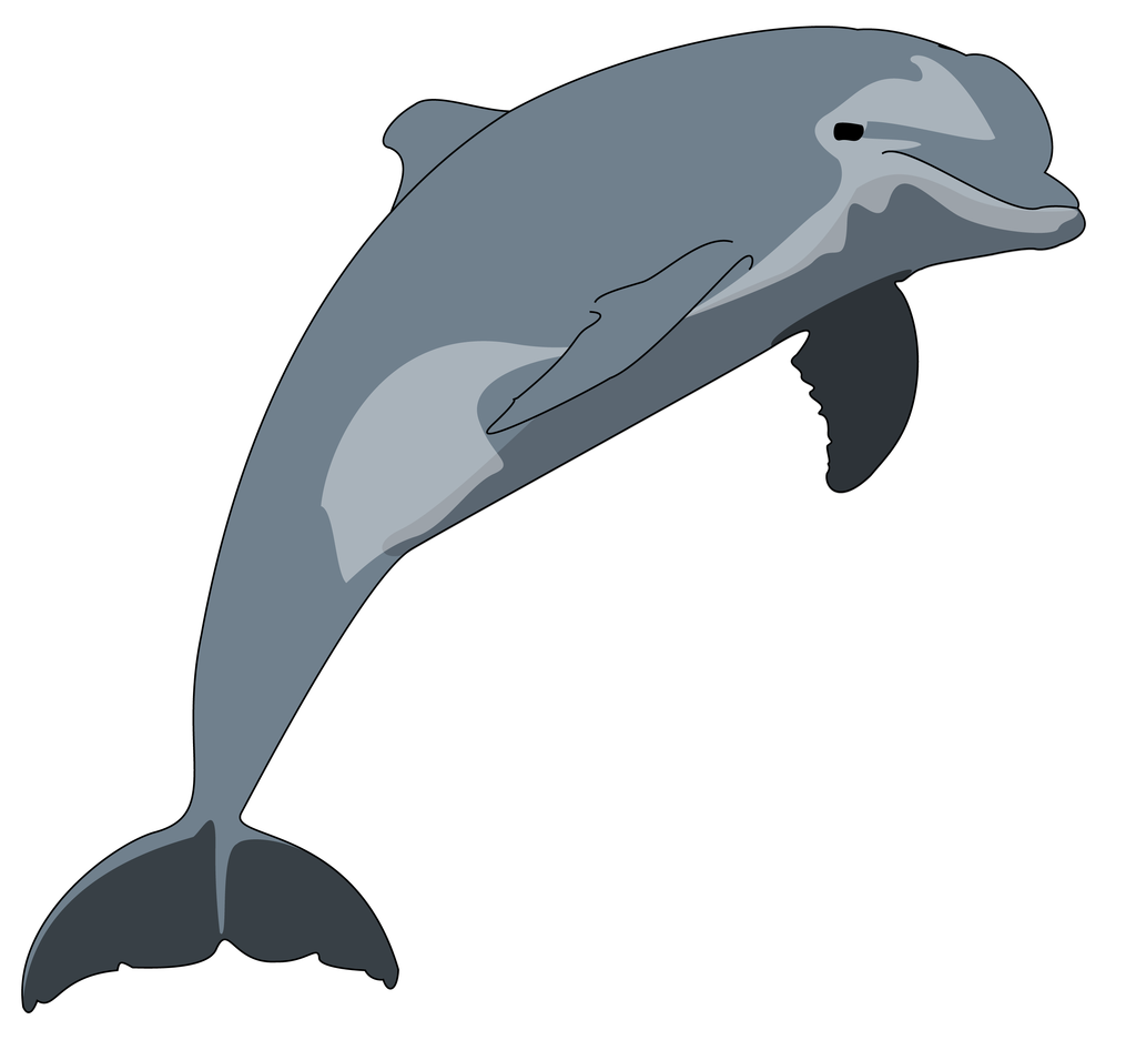 Dolphin Vector Art | Free Download Clip Art | Free Clip Art | on ...