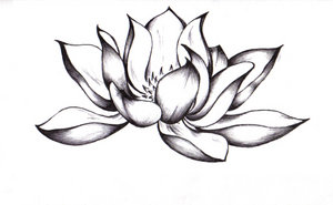 Lotus Flower Buddhist Drawing Clipart - Free to use Clip Art Resource