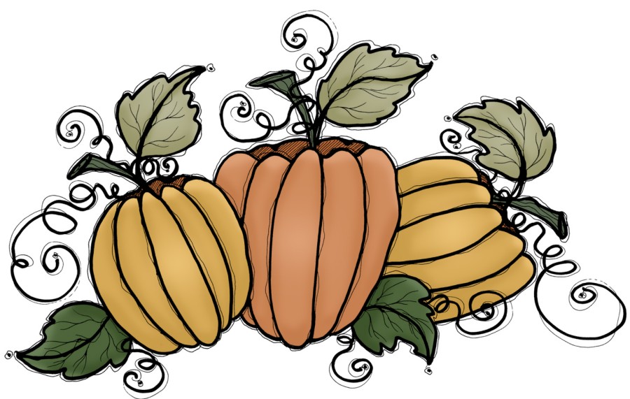 Pumpkin Vine Clipart