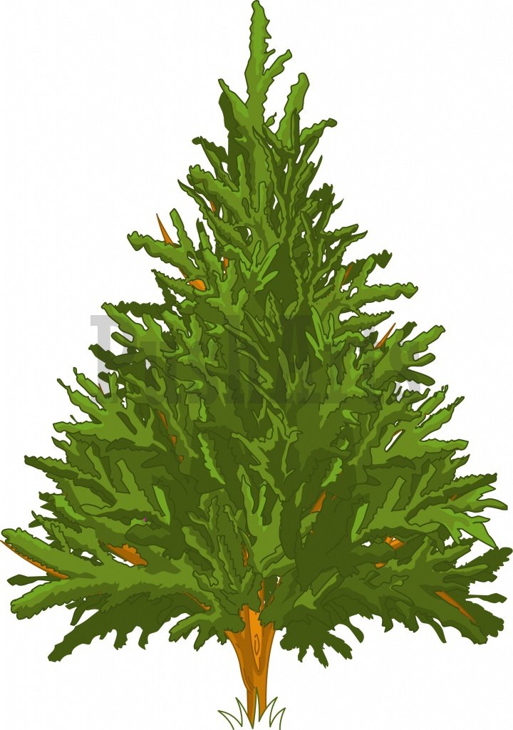 Clip Art Pine Trees - ClipArt Best