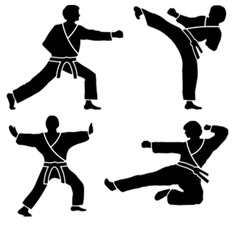 Taekwondo Promotion Ideas