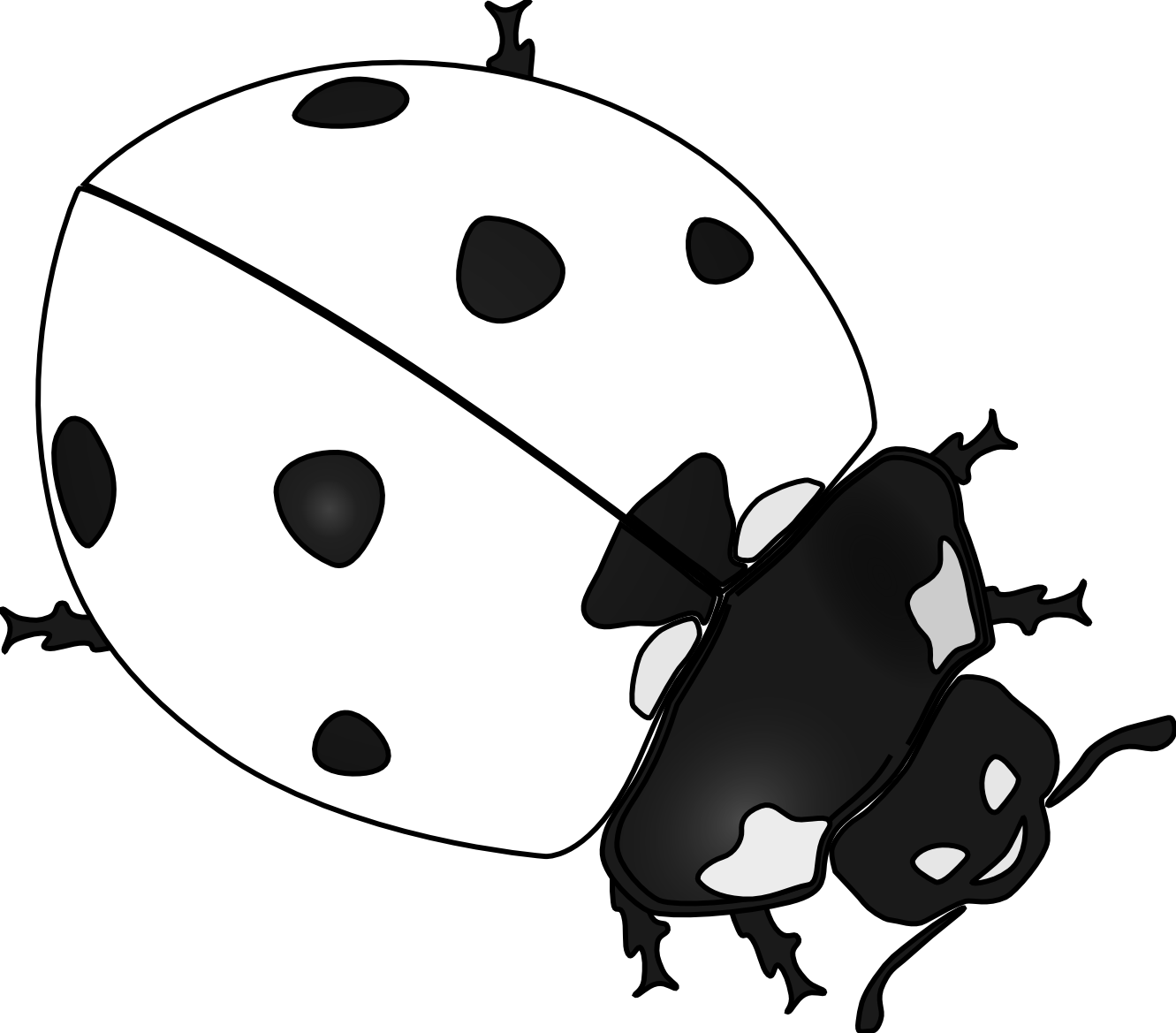 ladybug 20 black white line art tattoo tatoo ... - ClipArt Best ...