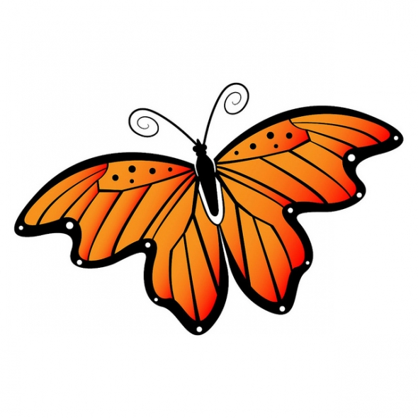 Free butterfly clipart pictures