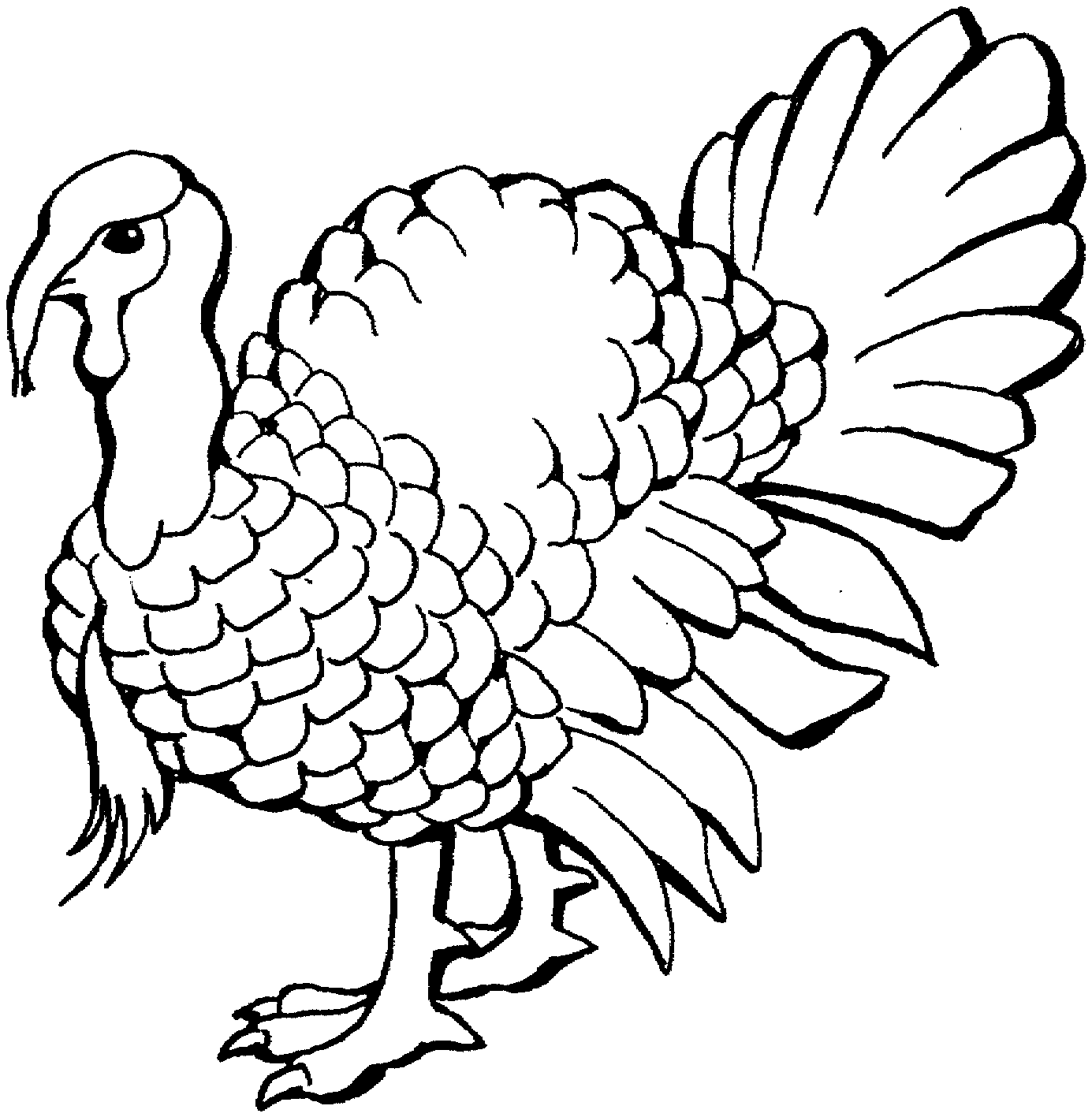 Cooked Turkey Drawing | Free Download Clip Art | Free Clip Art ...