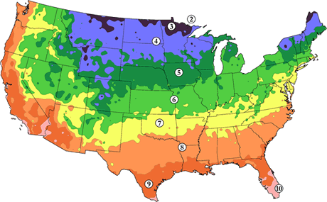 Texas Hardiness Zones - ClipArt Best