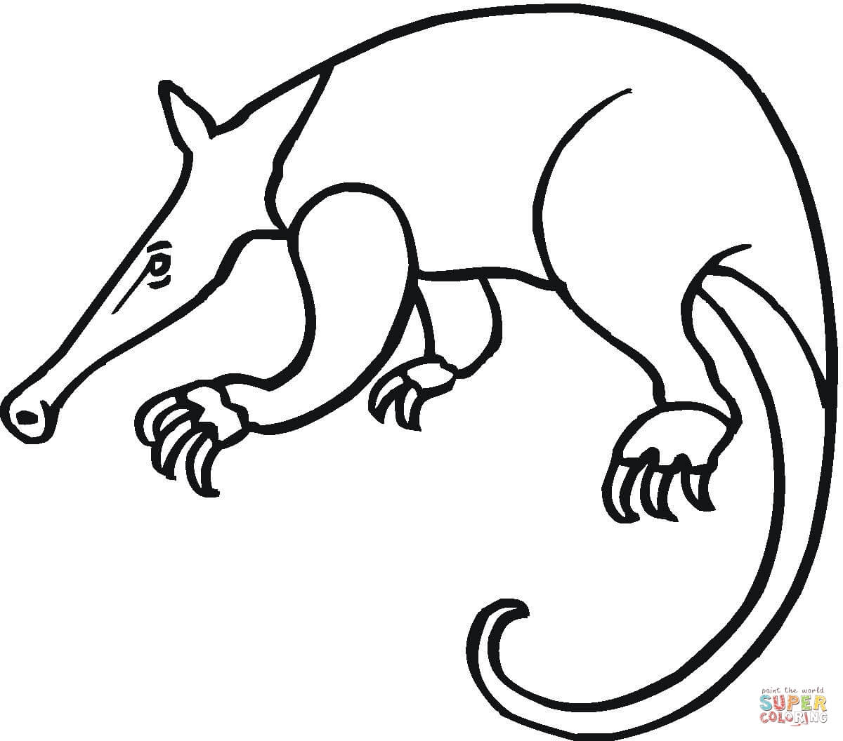 Anteater coloring pages | Free Coloring Pages