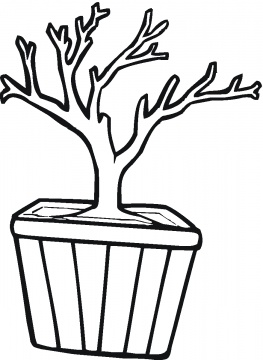 Bonsai in A Pot coloring page | Super Coloring