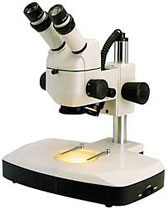 Motic® K Series Stereo Microscopes