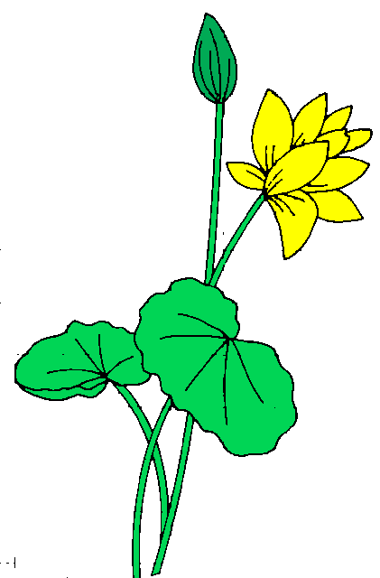 yjipveg: clip art free flowers