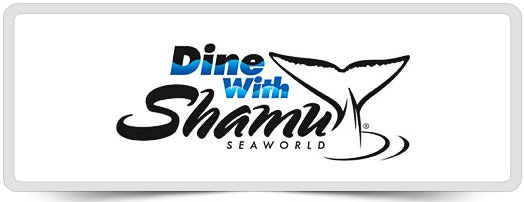 dinewithshamu.jpg