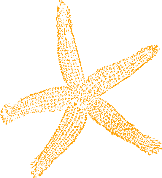 Sandy Starfish clip art - vector clip art online, royalty free ...