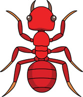 Free Insects - Clip Art Pictures - Graphics - Illustrations