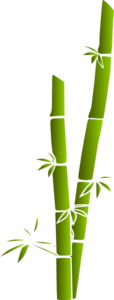 bamboo vector