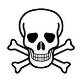 Fill In The Blank Skull Bones - ClipArt Best