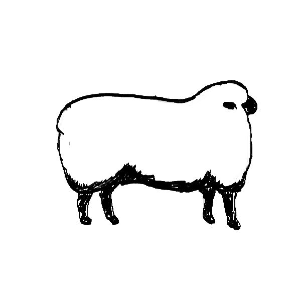 Punkin's Patch: Draw A Sheep