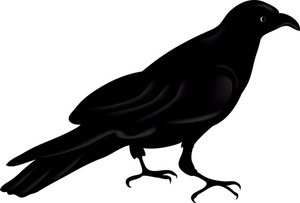 Ravens Clip Art Nfl - Free Clipart Images