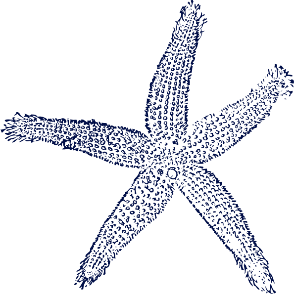 Navy Blue Starfish clip art - vector clip art online, royalty free ...