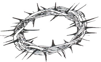Sustainable governance as a toroidal crown of thorns ? | Kairos ...