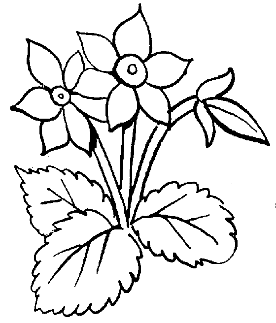 Coloring to print : Nature - Flowers number 277461