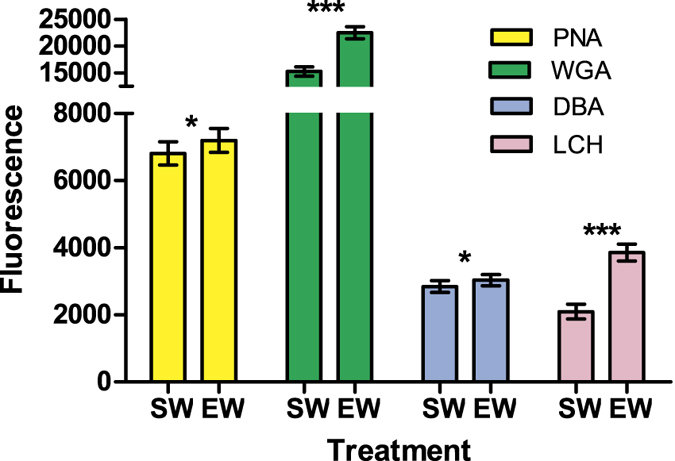 Lectin staining and flow cytometry reveals female-induced sperm ...