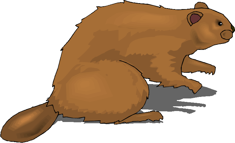 Free Beaver Clipart