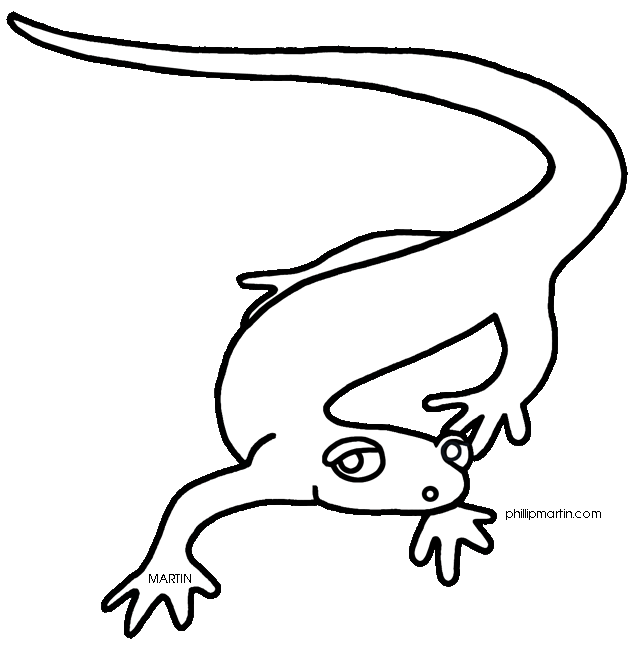 Salamander Clip Art - Free Clipart Images