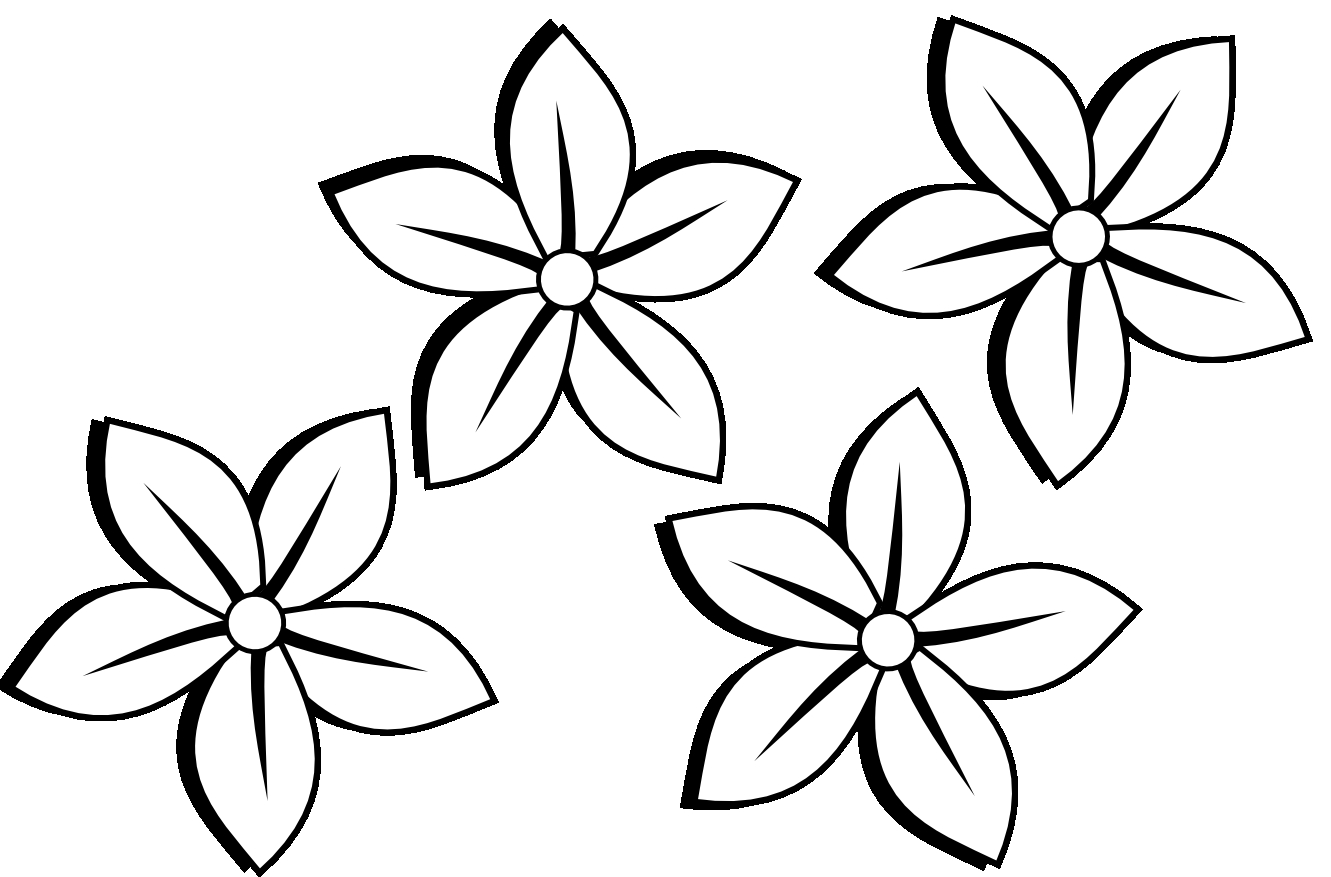 Tag: images of pencil drawings of flowers - Drawing And Sketches