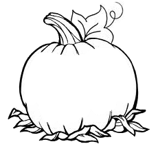 Pumpkin Drawing - ClipArt Best