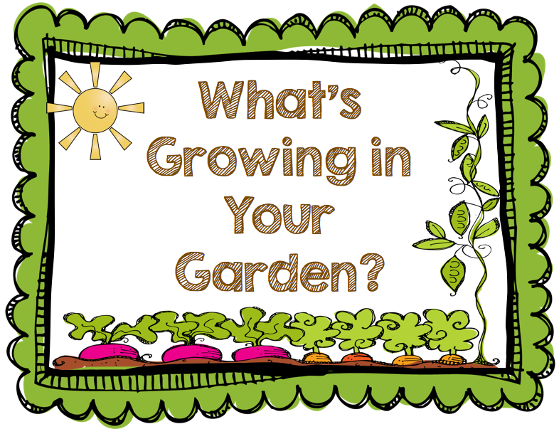 Vegetable gardening clipart - ClipartFox