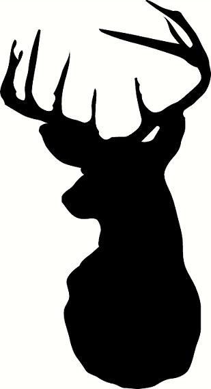 Buck deer head clipart